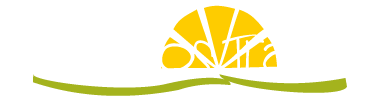 Theokritos Travel logo